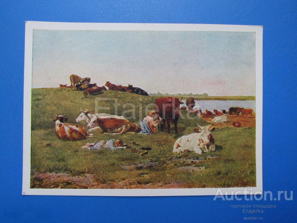 Стадо в поле. Маковский . 1953. Живопись. Доярка. Корова . Пастух . . Животные. 