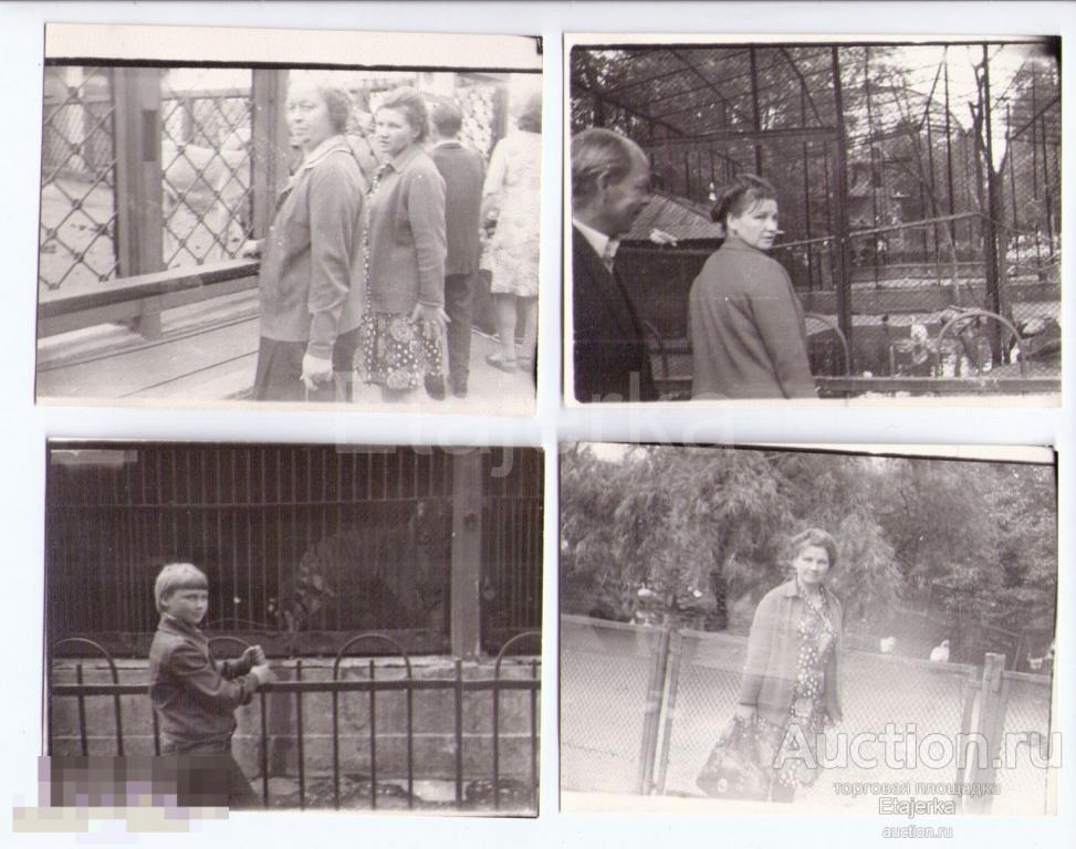 Зоопарк. Дети. Ленинград.  Фото СССР. ( Арх. Мончегорск ) 