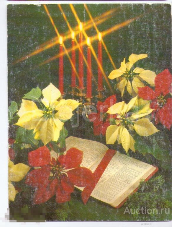 С новым годом.Библия. Книга. Пуансетия.  Свечи. Рождество. 