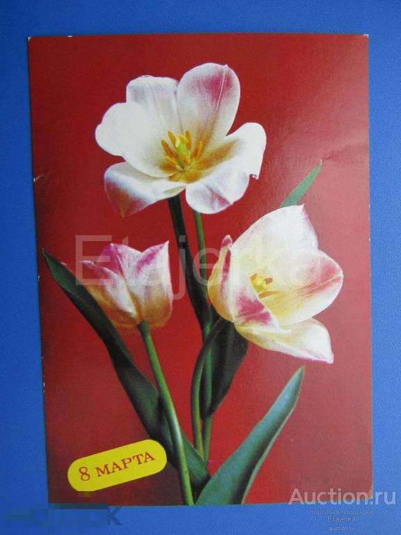 8 марта. Костенко .подписана. Букет. Тюльпаны. Композиция . 1988. Цветы. 