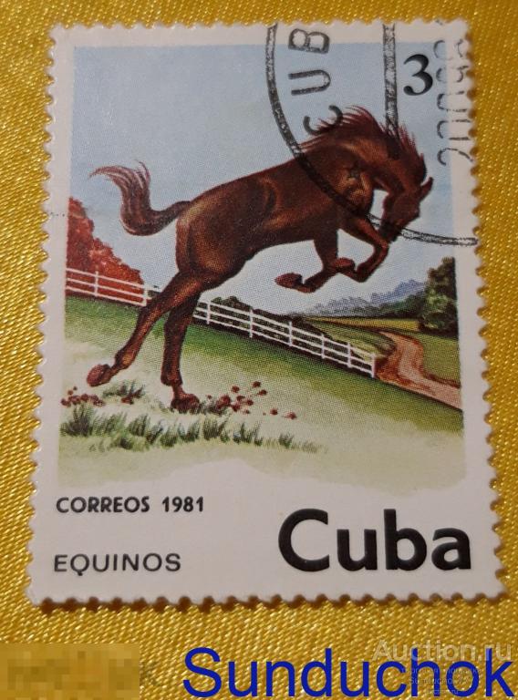 Лошади. Horse (Equus ferus caballus). 3 ¢ - Кубинский центаво. Куба. Cuba. 1981 г.