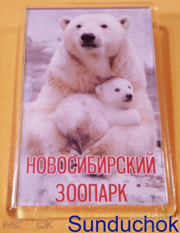 Сувенирный Магнит "Новосибирский Зоопарк. Медведица с медвежонком" Города. Туризм. Путешествия.