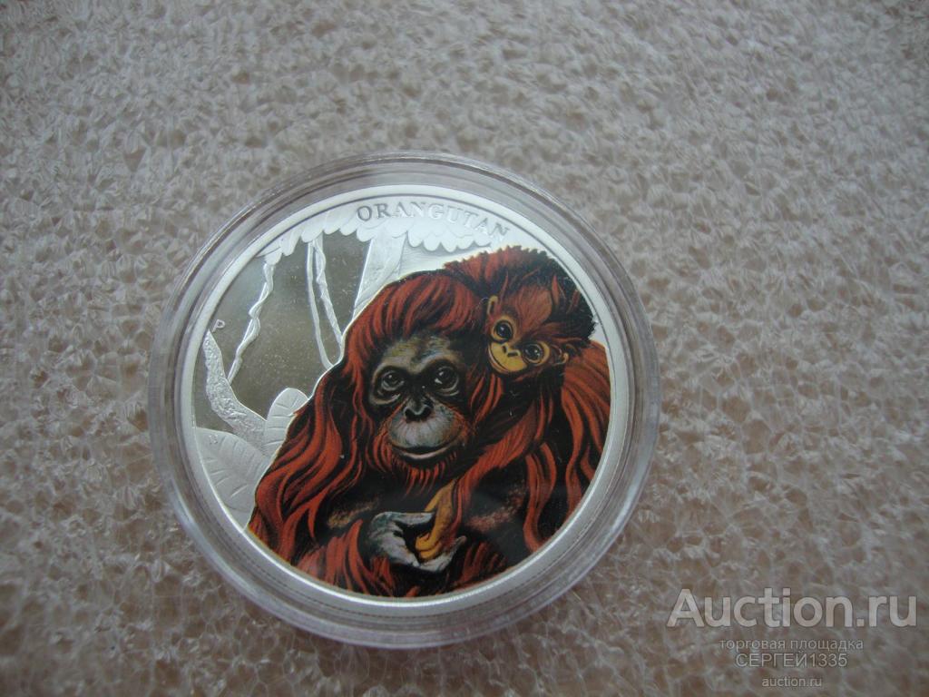 Тувалу 50 центов 2014 Орангутан обезьяна Материнская любовь СЕРЕБРО