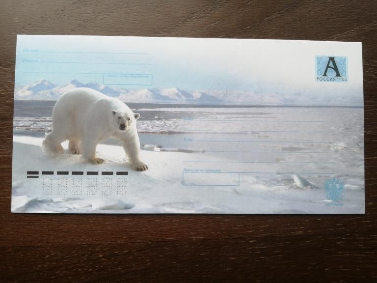 Хмк, 2008 г. Белый медведь