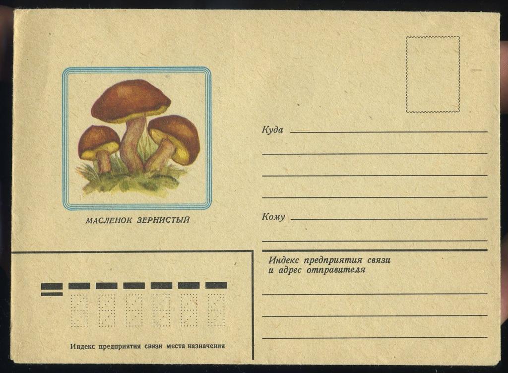 Маслёнок зернистый - Остапенко В - 1982 год - конверт