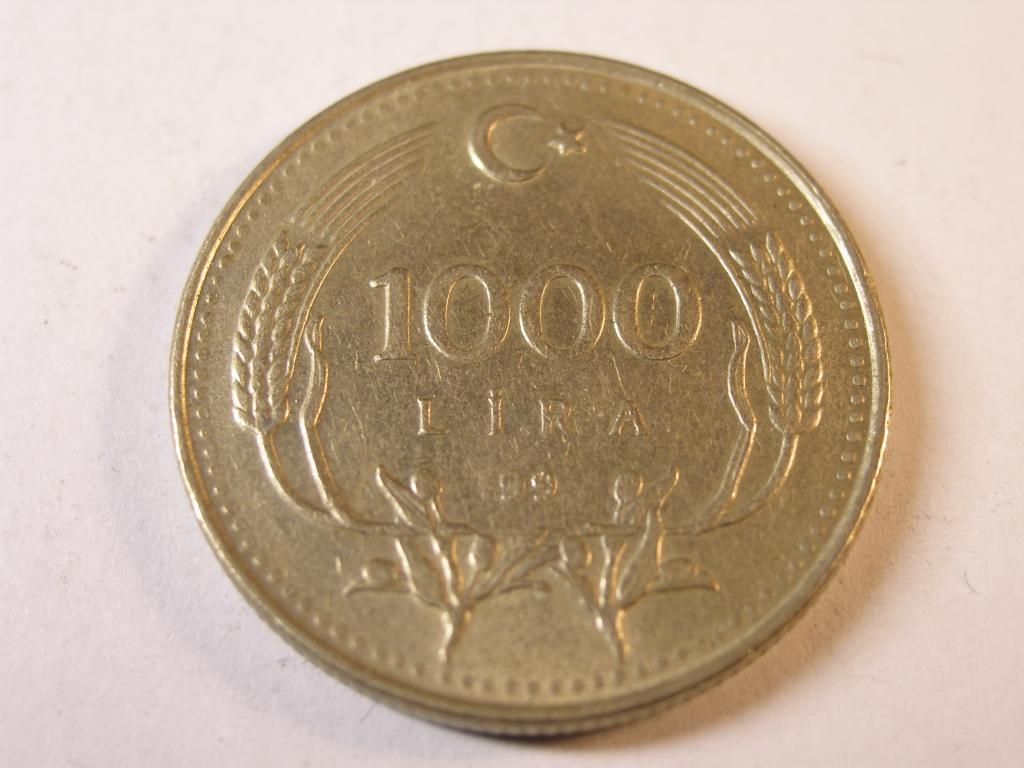 Турция.   1000   лир.  1994 год.  Описание    (2)