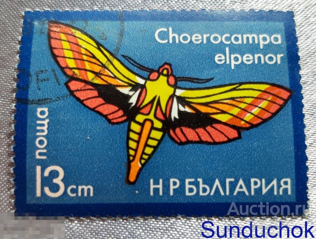 Choerocampa elpenor (Бражник винный средний) "Ночные бабочки" Марка Болгария. 1975 г.