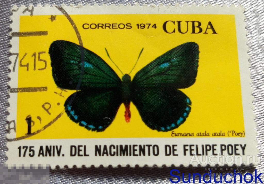Eumaeus atala atala (Poey). Бабочка. Почтовые марки. Куба. CUBA FAUNA. 1974 г. Гаш.