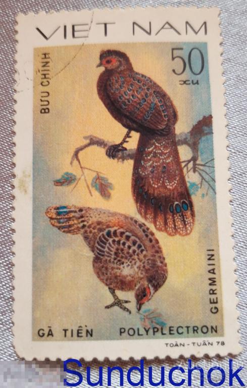 Polyplectron Germaini / Полиплект Жермена. Декоративная птица. VIET NAM. Фауна. 1978 г.