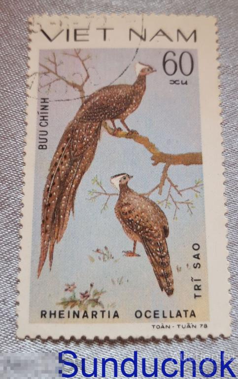 Rheinartia ocellata / Хохлатый Аргус. Декоративная птица. Вьетнам. VIET NAM. Фауна. 1978 г.