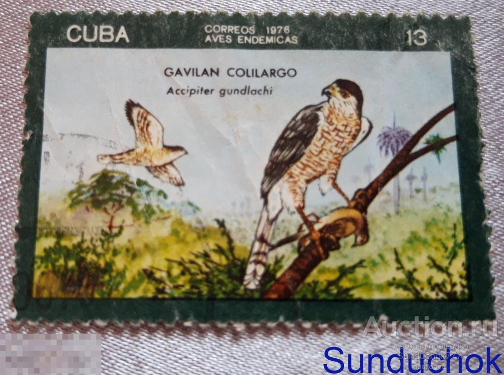 ЯСТРЕБ ГУНДЛАХА (ACCIPITER GUNDLACHI) Марка почтовая. Птицы. Куба. CUBA. фауна. Гашеная. 1976 г.