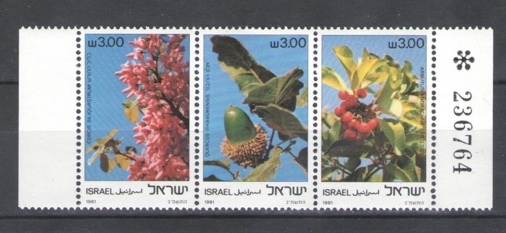 Израиль 1981г. Цветы, серия. MNH.