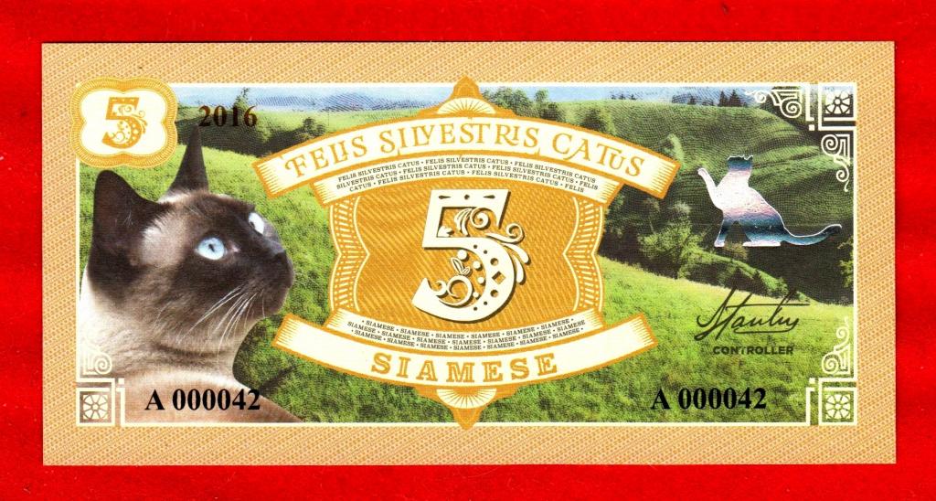 Серия ДОМАШНИЕ КОШКИ, № 5 – СИАМСКАЯ КОШКА, 2016, UNC, ВЗ, ГОЛОГРАФИЧЕСКОЕ НАПЫЛЕНИЕ
