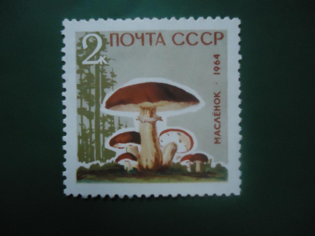 1964 г.  СССР  грибы    MNH.