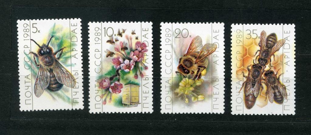 СССР.  Фауна. Насекомые. Пчелы. Пчеловодство. Серия. 1989**