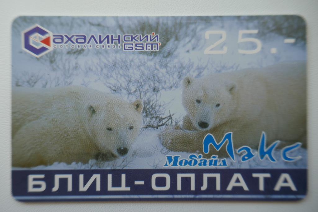 ТК Белые медведи Сахалин