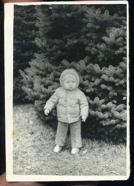 Ребёнок у ёлочки - фото СССР