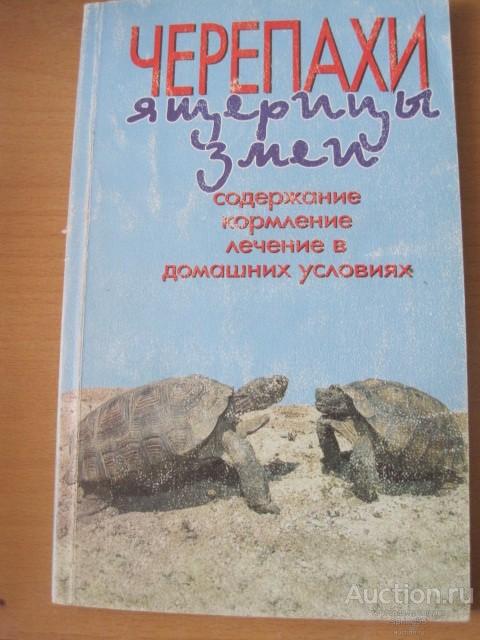 Черепахи, ящерицы, змеи.