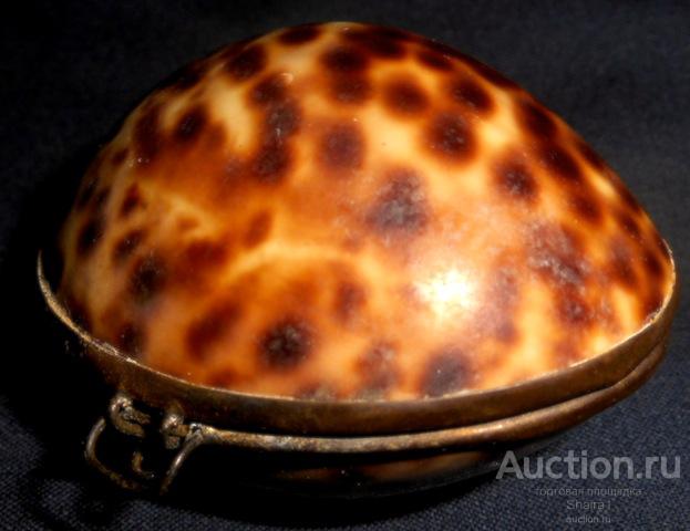 Шкатулка Кошелек Ракушка Каури Винтаж