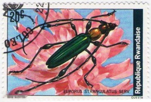 Руанда, 1978, Жуки + Камбоджа 2000 Фауна Насекомые Жуки - 2 марки по теме Насекомые 
