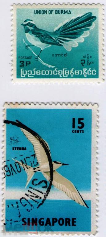 Бирма 1964 стандарт + Сингапур 1962 Светлая крачка  Фауна - 2 марки по теме ПТИЦЫ 