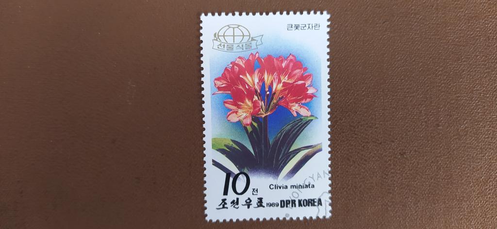 Марка КНДР, 1989, Флора