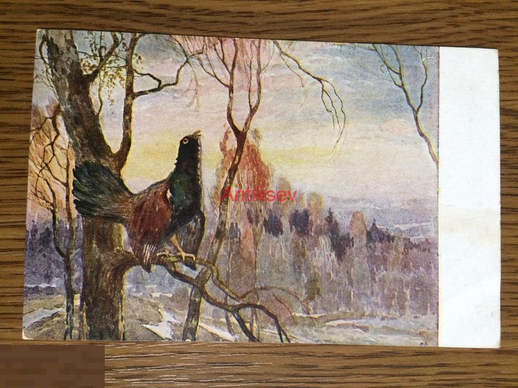 Открытка Горбатов глухарь на току тираж 15000 