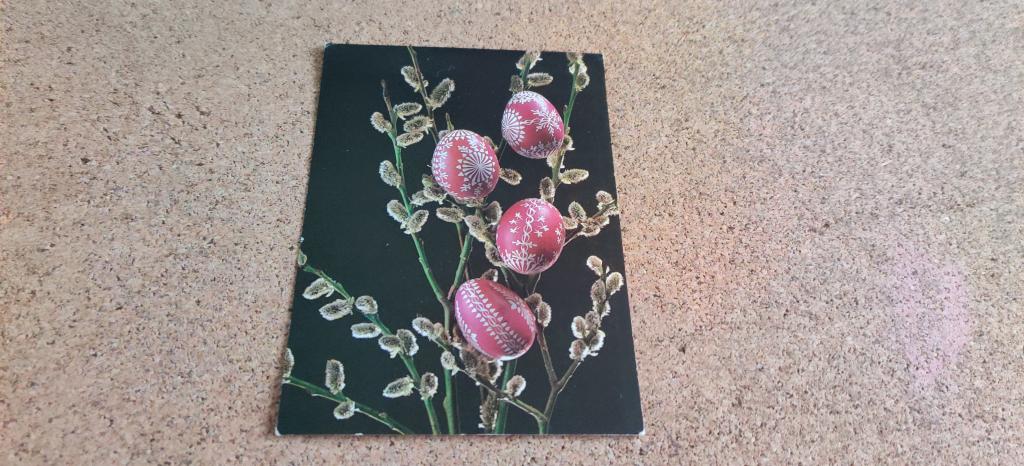 Иностранная открытка Словакия Братислава Пасха пасхальные яйца верба фотооткрытка, подписана