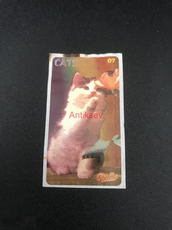 Наклейка от жвачки Andic Cats 7 