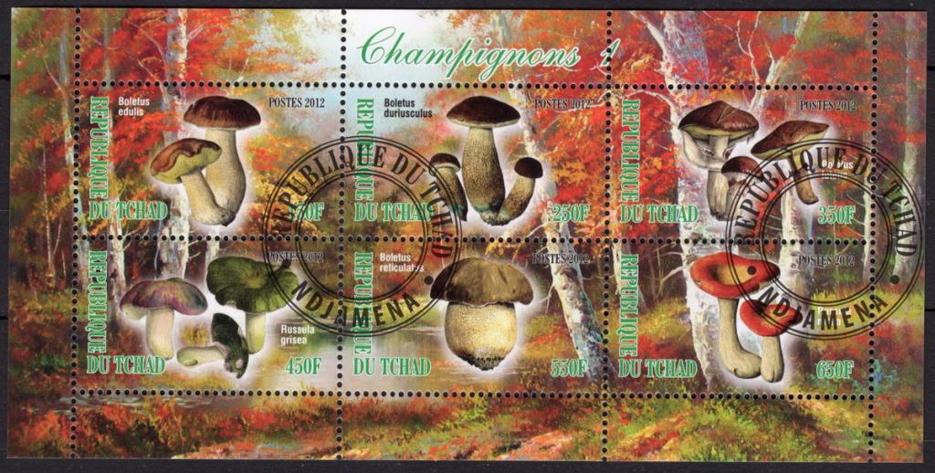 Чад 2012 Флора Грибы