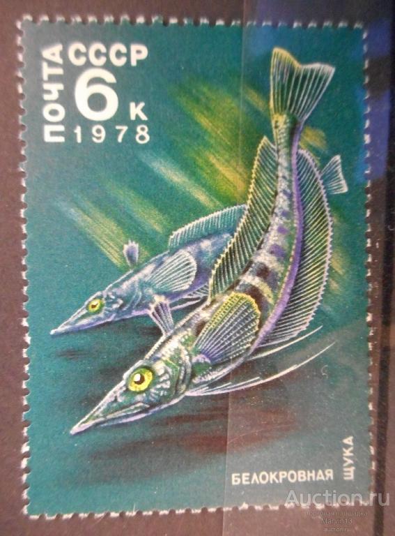 1978 год СССР Марка 6 копеек Животный мир Антарктики