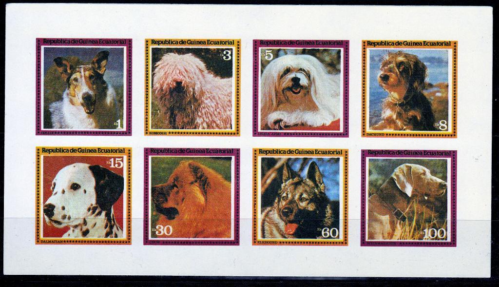 Экваториальная Гвинея,1996,Ми-1427-34**Фауна: собаки