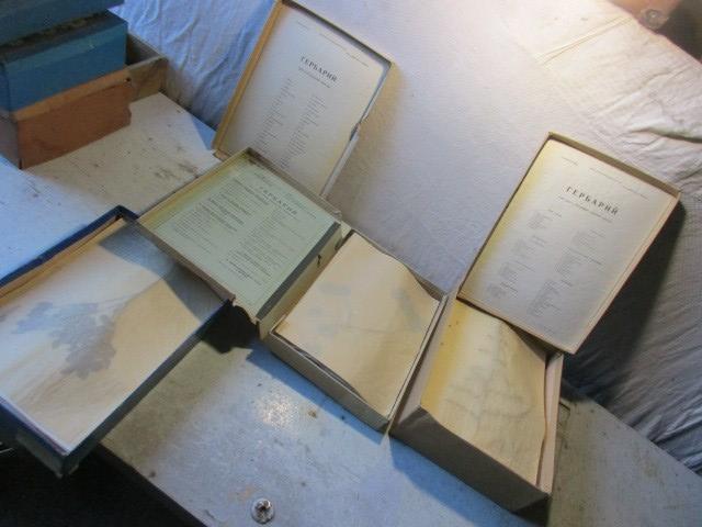 советское школьное наглядное пособие Гербарий . МНОГО. ЦЕНА ЗА ВСЕ. 68