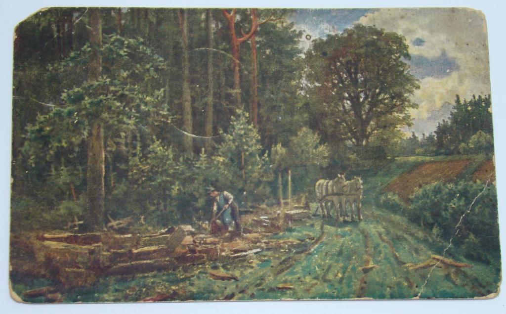 Открытое письмо. Дровосек. Россия до 1917 года.