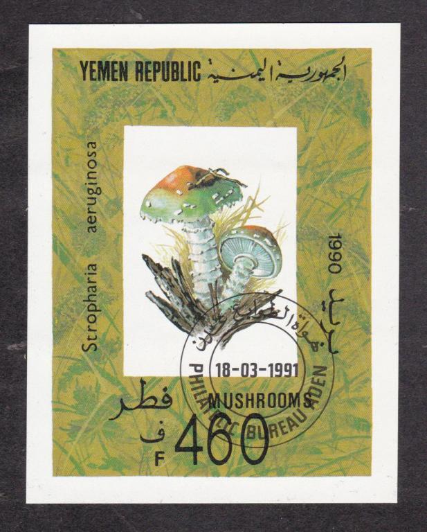 распродажа Йемен 1991 Флора Грибы (3648)