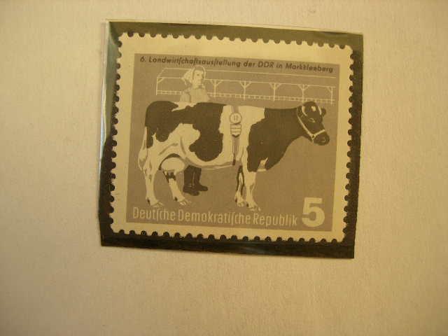 ГДР 1958 с/х фауна: корова  MNH