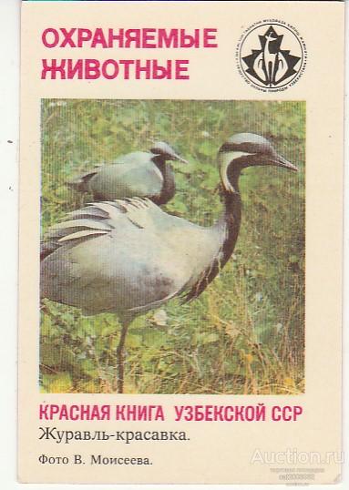 Красная книга узбекистана презентация