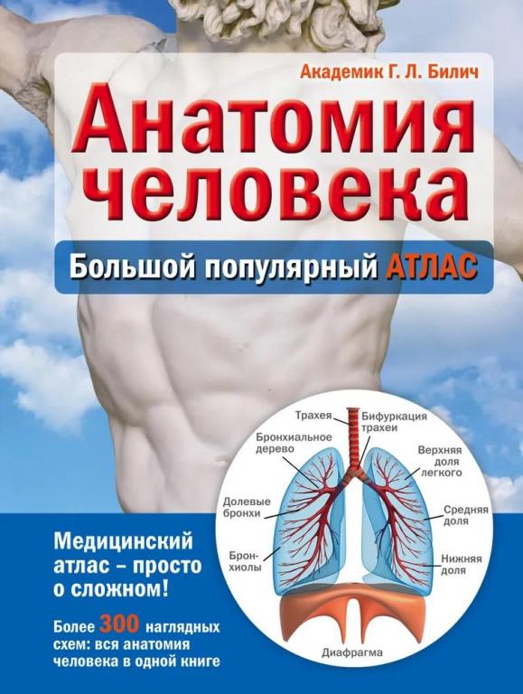 Анатомия человека. Большой популярный атлас