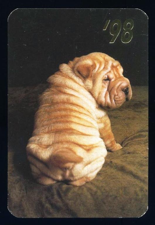 Собака - 1998 год - календарик (КЛ-2)