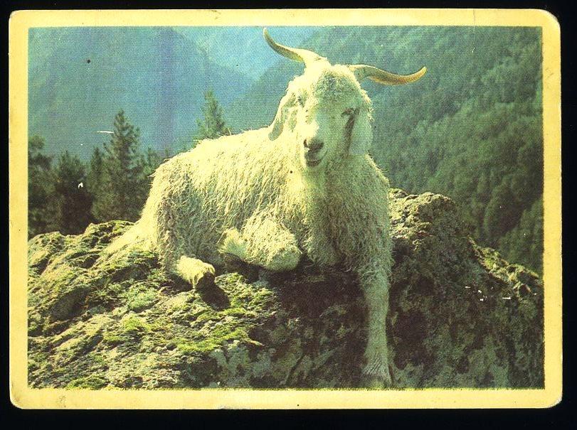 В горах - 1993 год - календарик (КЛ-2)