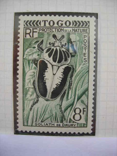 Того 1955 фауна: жук   MNH