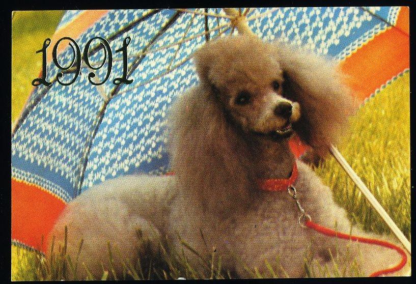 Пудель - 1991 год - календарик (КЛ-4)