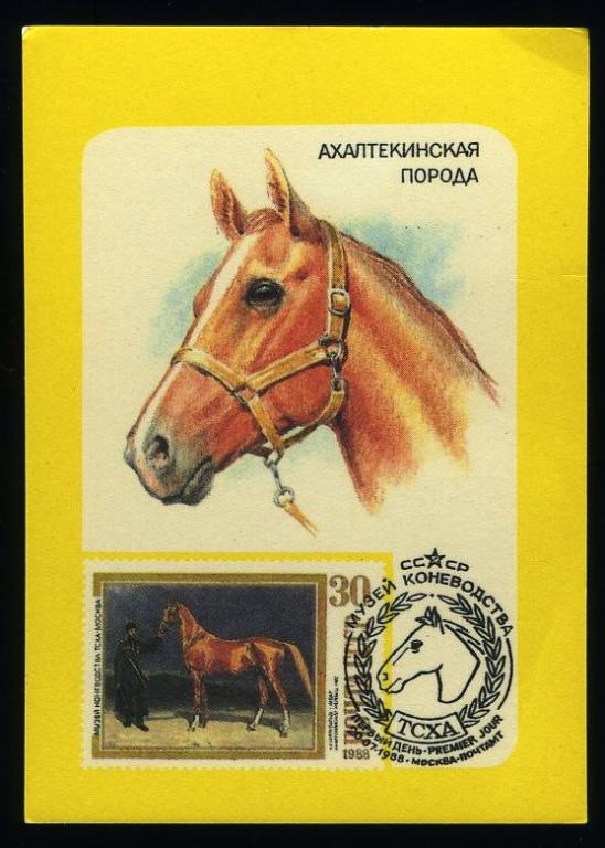 Лошадь 1990. Советский календарик с лошадью. 1990 Карманный календарь лошадь. Ахалтекинская порода календарь СССР. Календарик статуэтки лошади 1990.