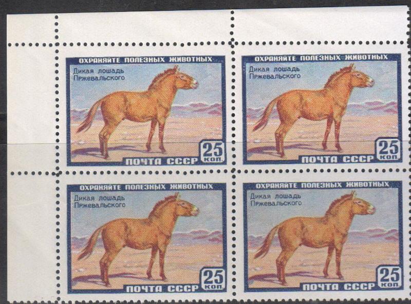 1959 г. МАРКИ СССР. Фауна СССР. Лошадь Пржевальского. Квартблок. Угол.  Н/С MNH