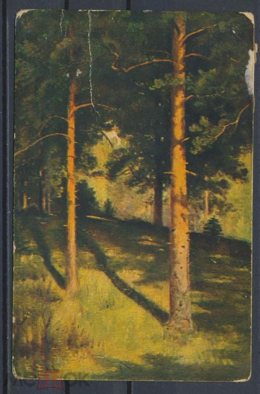 РОССИЯ. И.И. Шишкин. Сосны освещенные солнцем. Издание Гранберг.