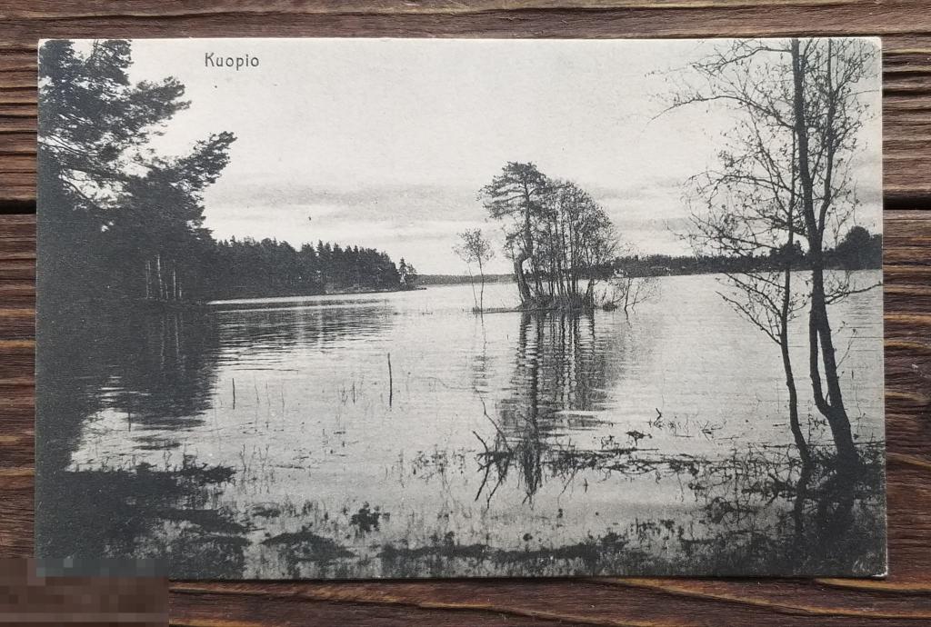 Kuopio Финляндия озеро