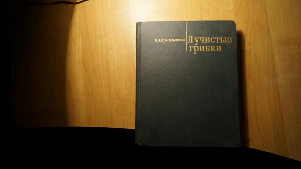 №6758 Красильников. лучистые грибки 1970 год