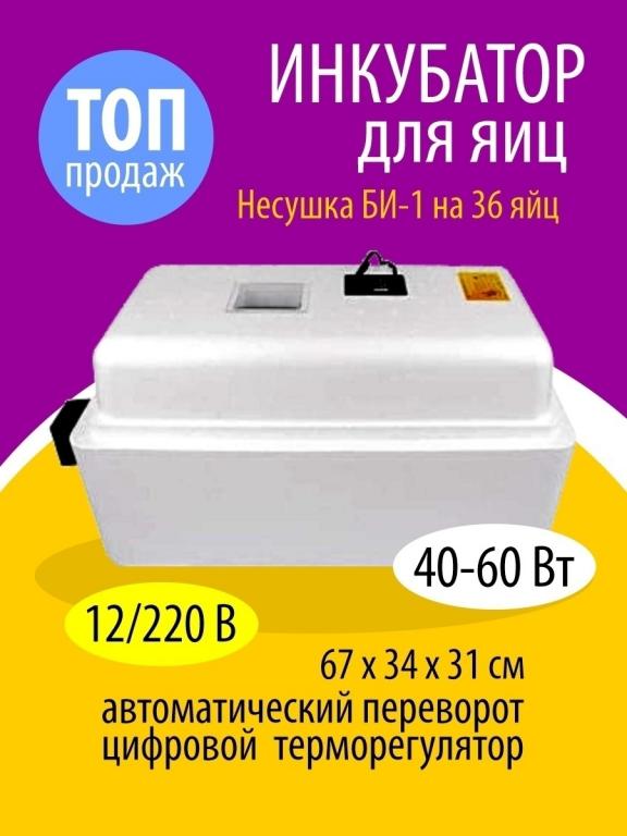 Купить Инкубатор Несушка В Тамбове