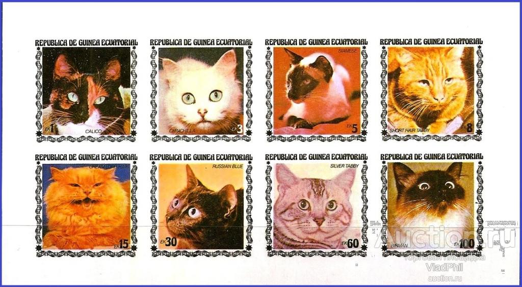 Экваториальная Гвинея 1978 Кошки. МЛ** MNHOG (ЧБН)