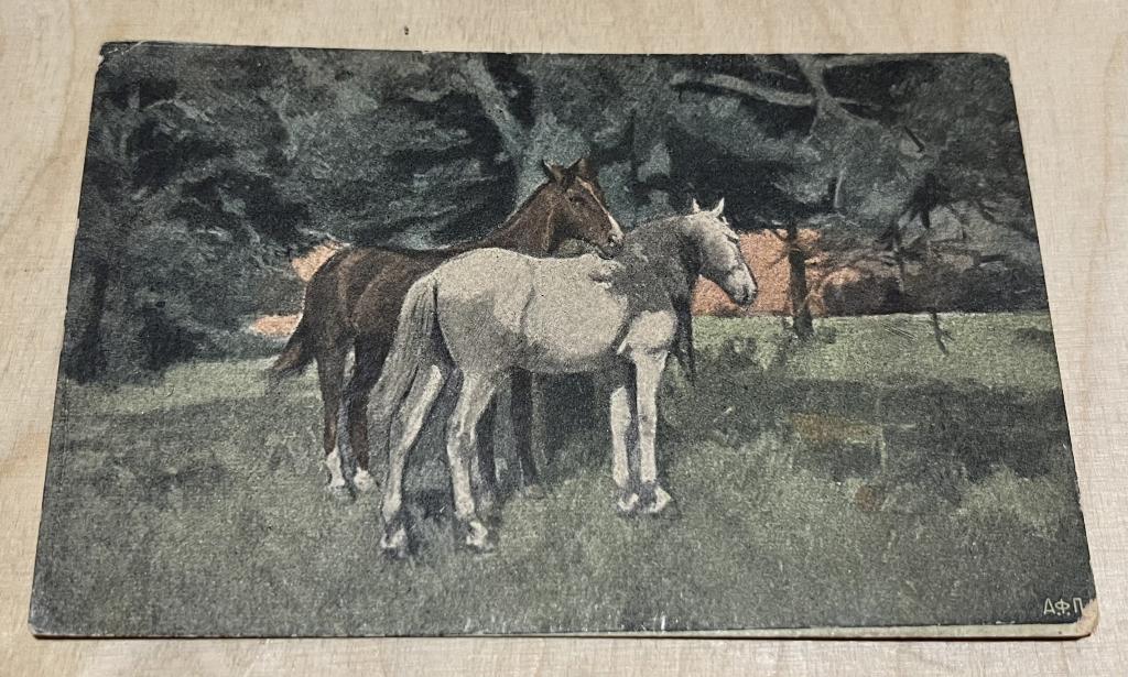 Россия СССР Почтовая Карточка Открытка Картина Лошади Художник А.Ф.П.